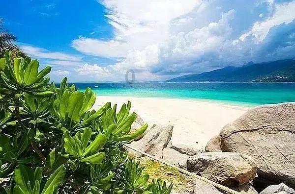 帕金森病的三大“震颤”特征，你中枪了么？